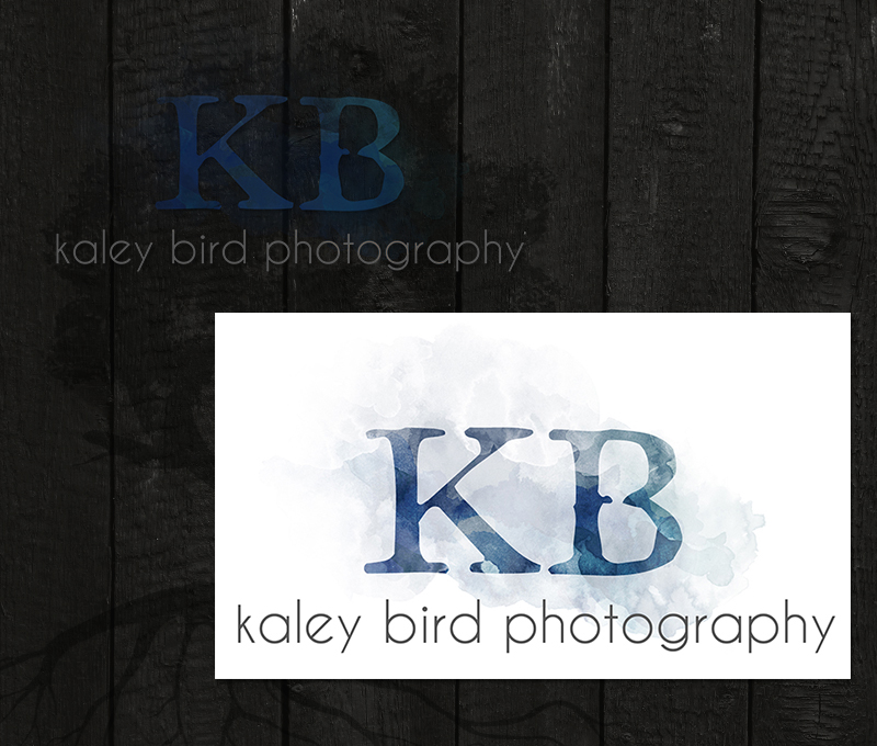 kaley bird photography